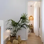 Arsenis Luxury * Pláka