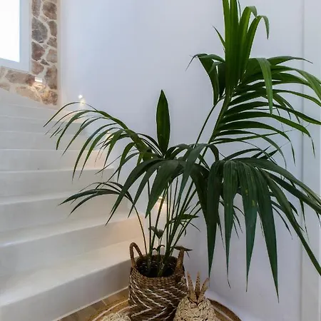 Willa Arsenis Luxury